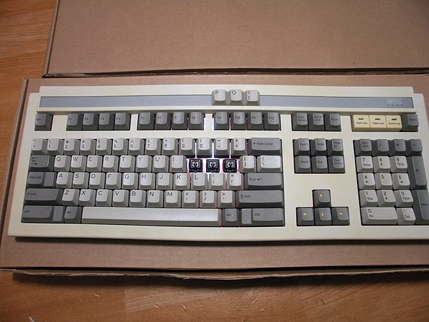 PB280187.JPG