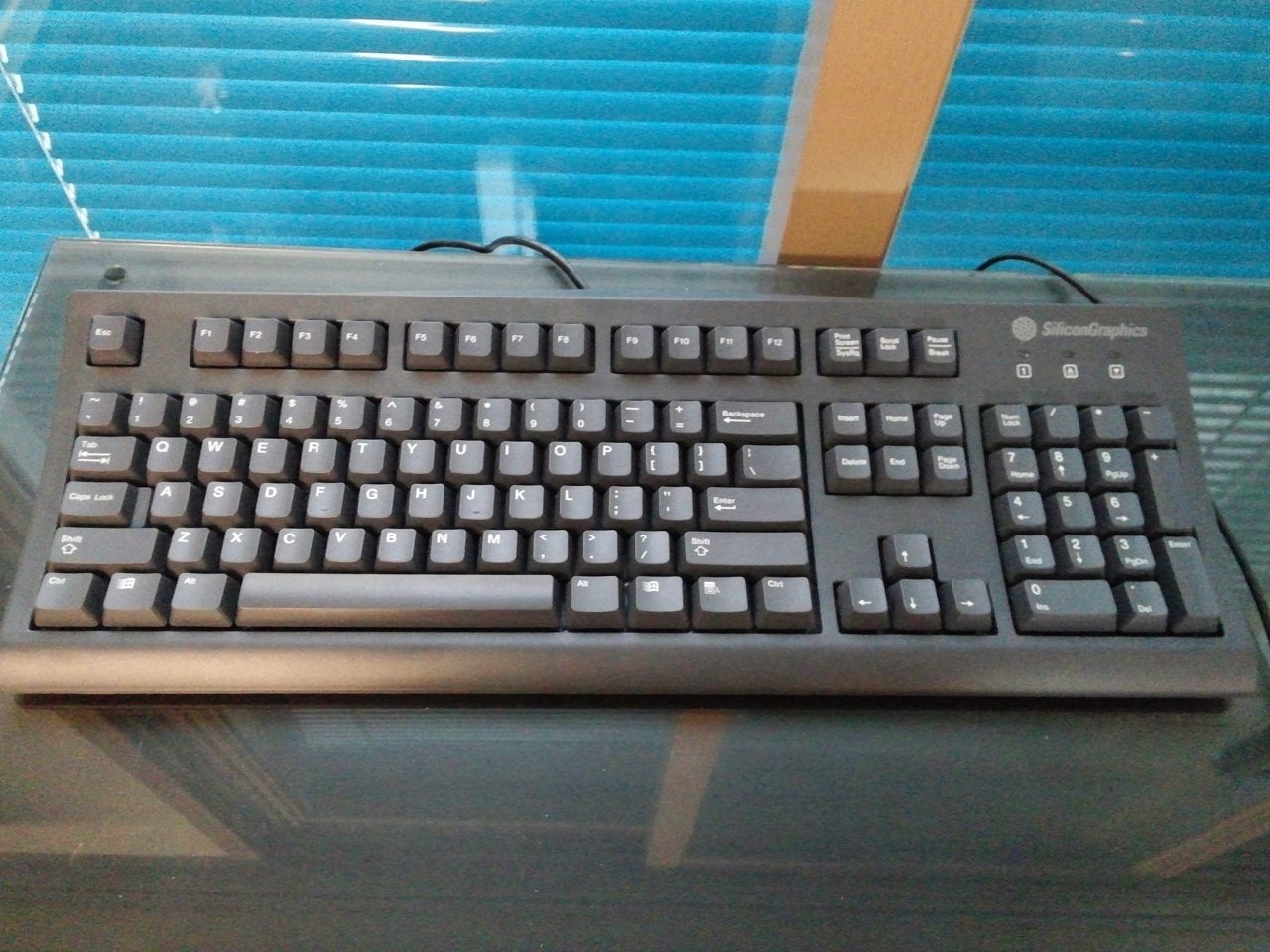 CAM00200.jpg