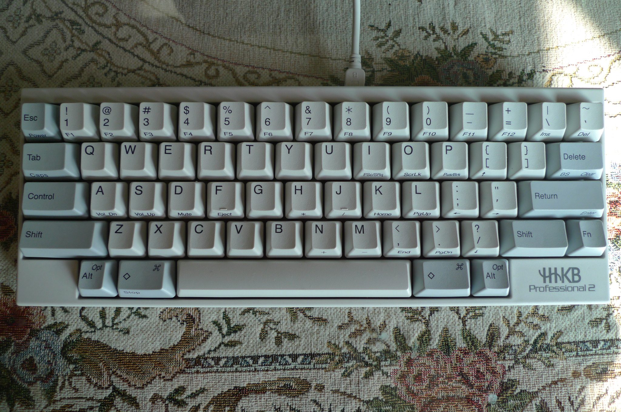 P1030250.JPG