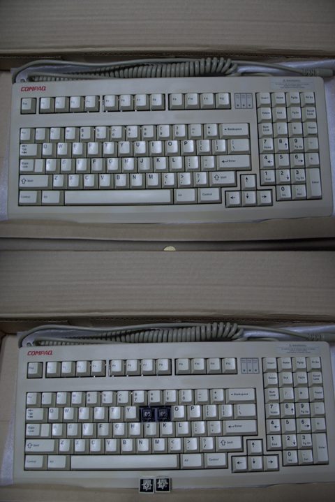 CP_1800.jpg