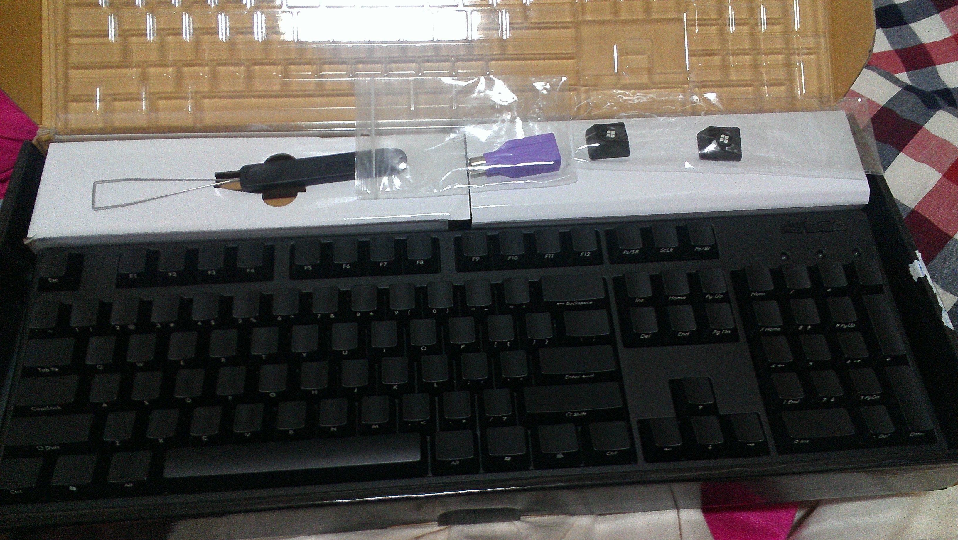 IMAG0010.jpg
