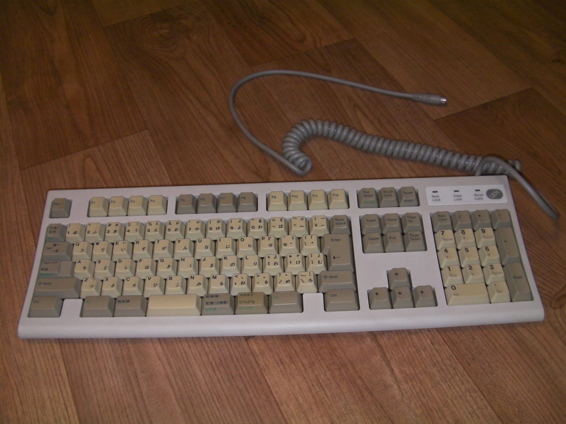 rs_SANY0012.jpg
