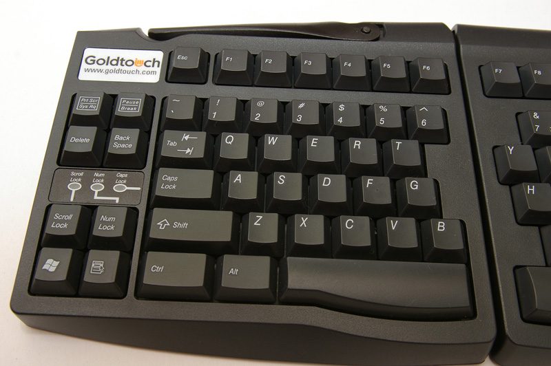 IMGP5556_.jpg