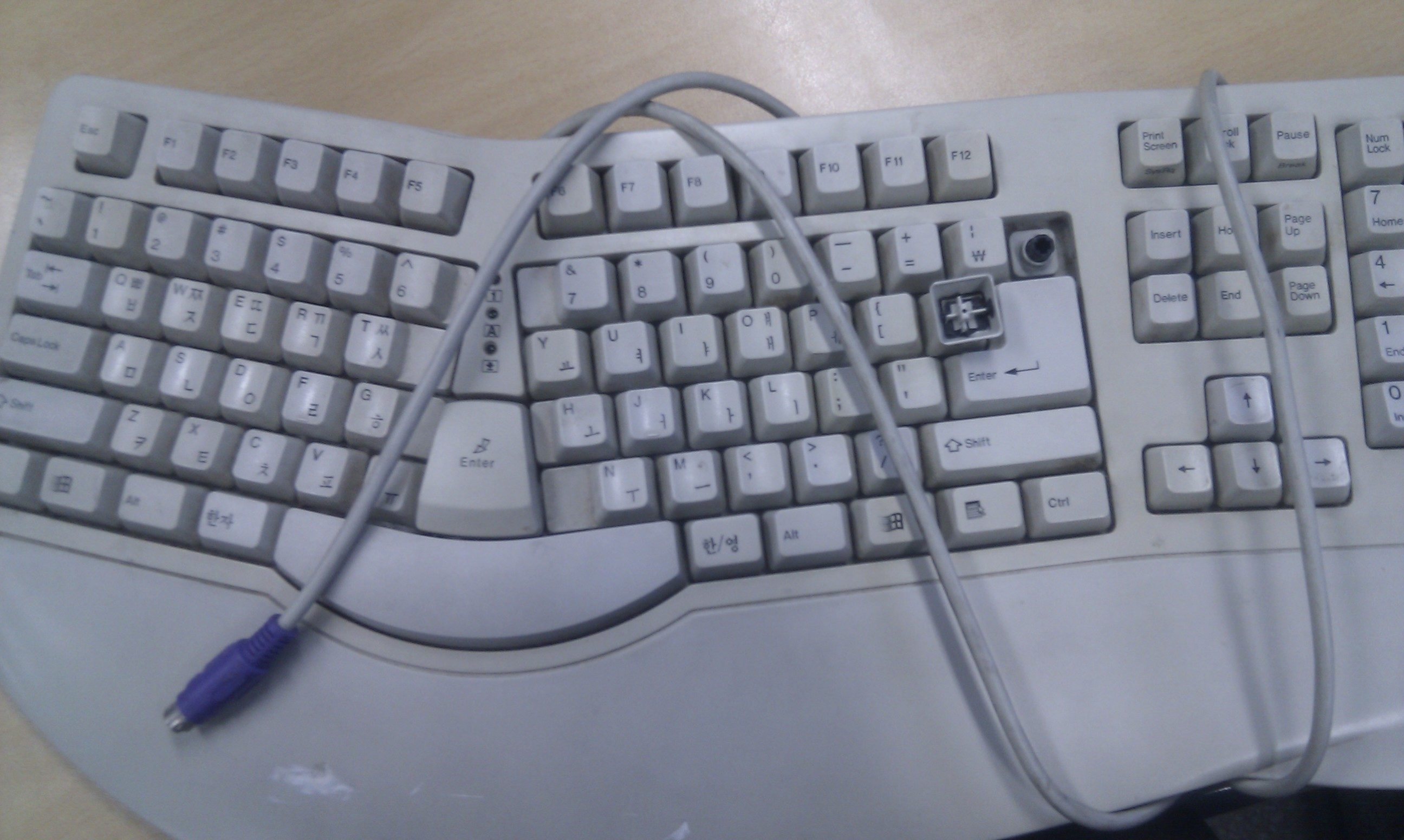 IMAG0080.jpg