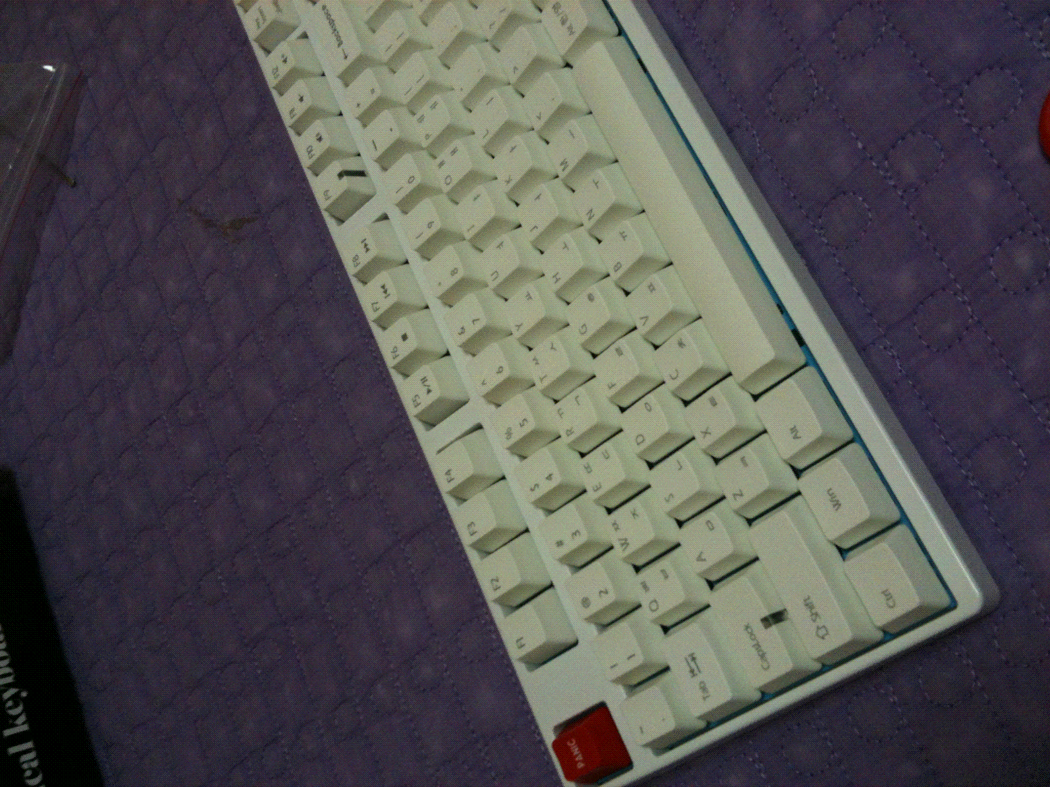 사진 003.GIF