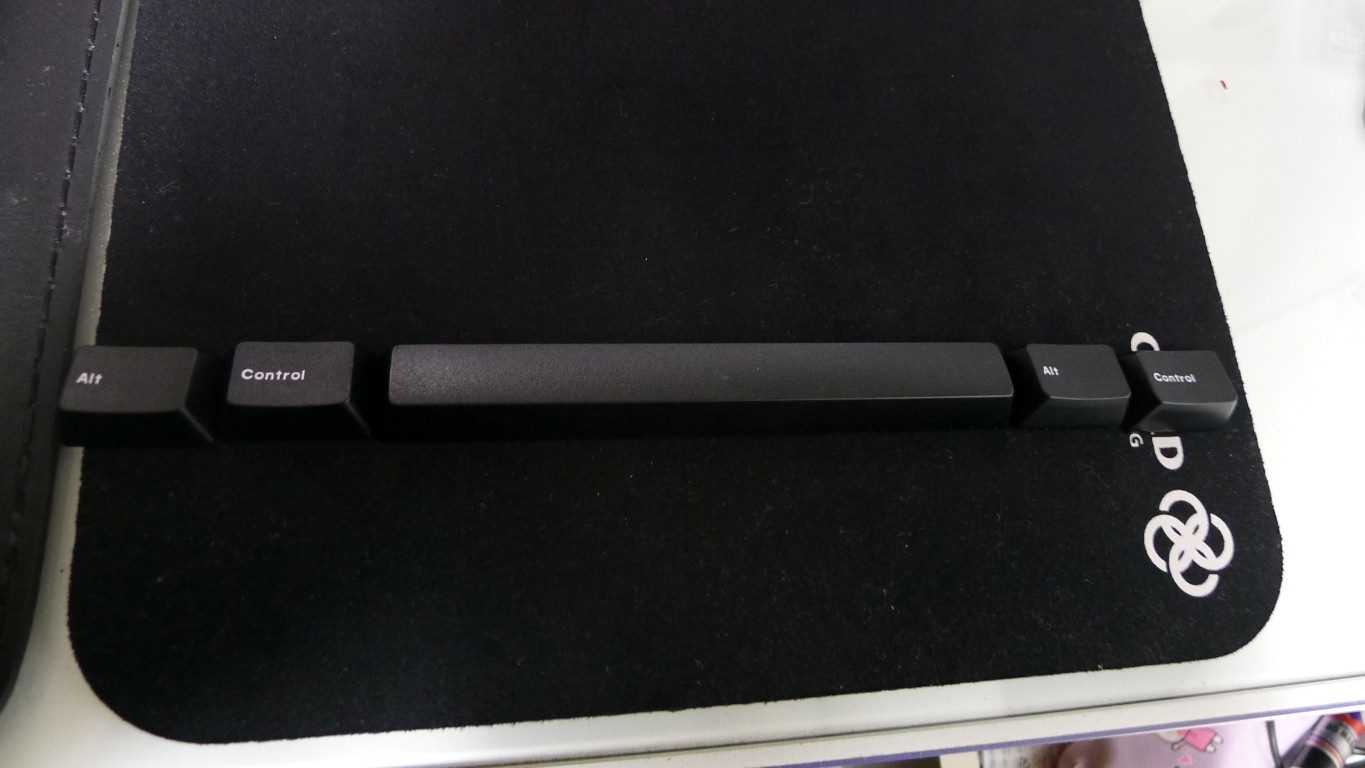 P1010567 (Medium).JPG