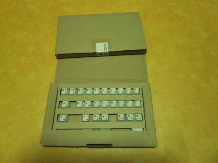 resize_SDC10132.JPG