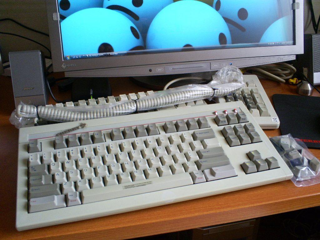 S5030937.JPG