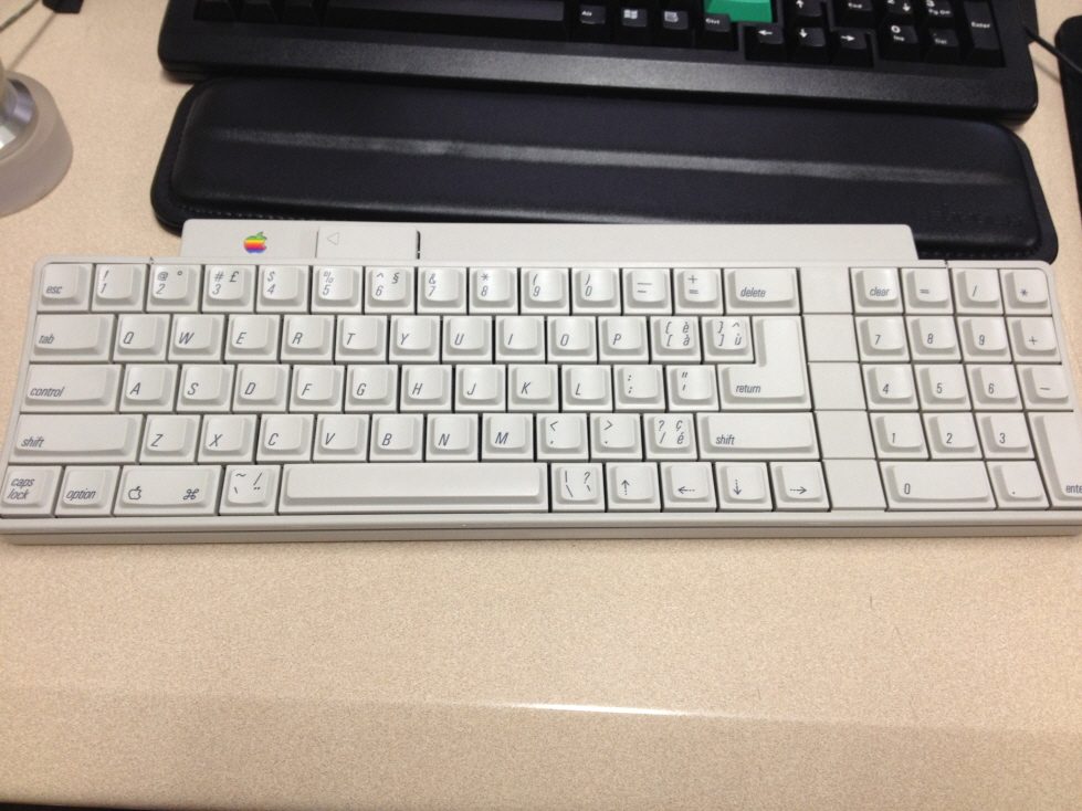 크기변환_IMG_2760.JPG : IIgs(알핑, 닙급) 판매합니다.