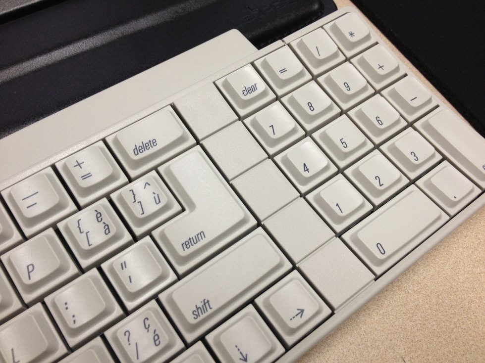 크기변환_IMG_2762.JPG : IIgs(알핑, 닙급) 판매합니다.