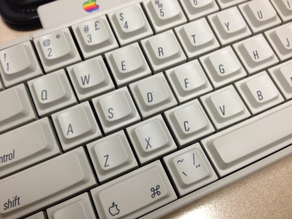 크기변환_IMG_2761.JPG : IIgs(알핑, 닙급) 판매합니다.