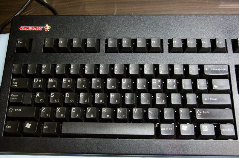 크기변환_120420-005.jpg : 체리 스탠다드 갈축 외