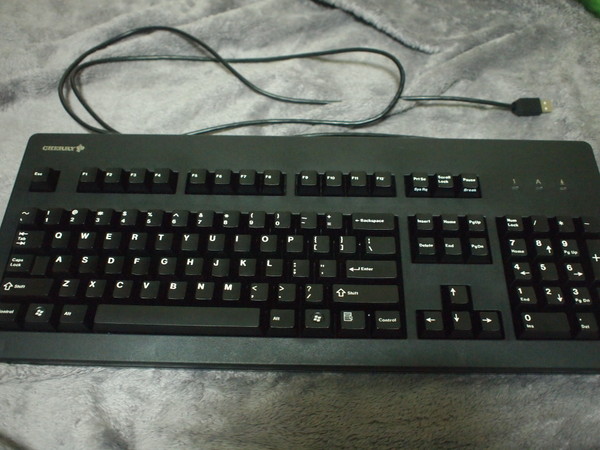 P1010017.JPG