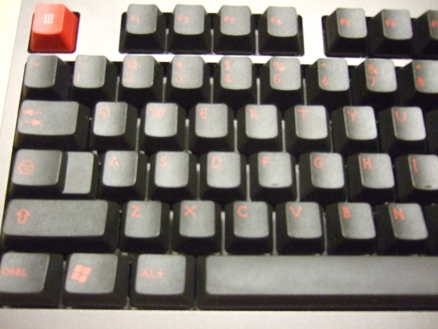 DSCF5058.JPG