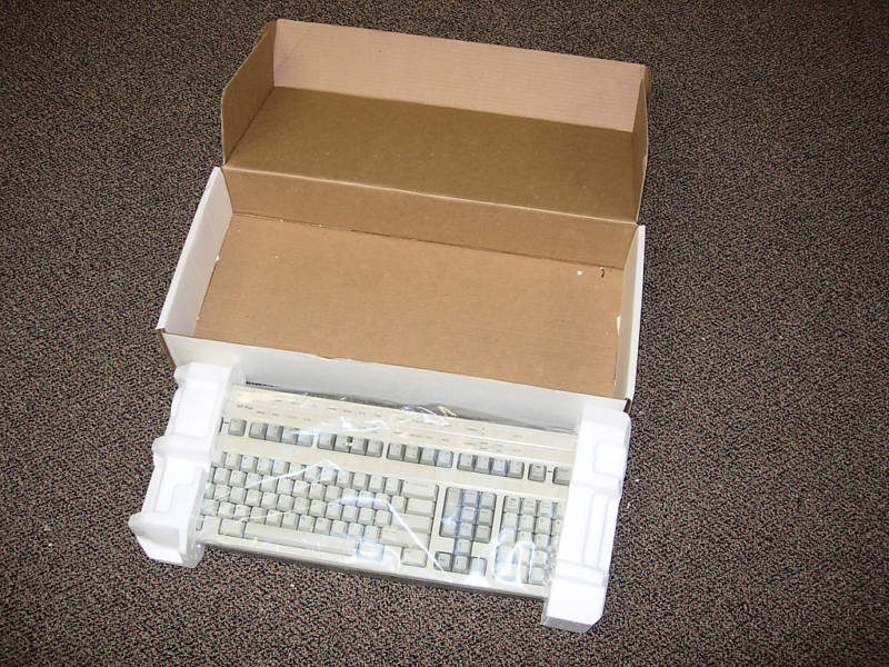 Wang_724.jpg