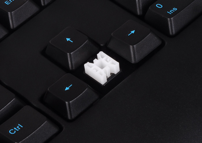 ttesports_prime_2.jpg
