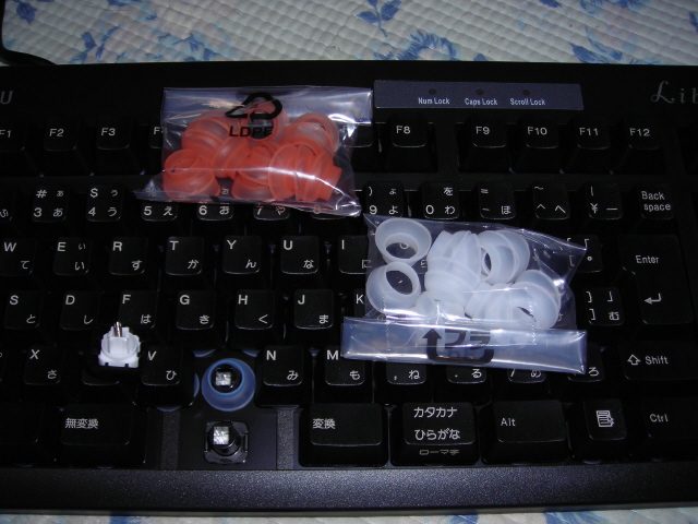 DSCN2150.JPG