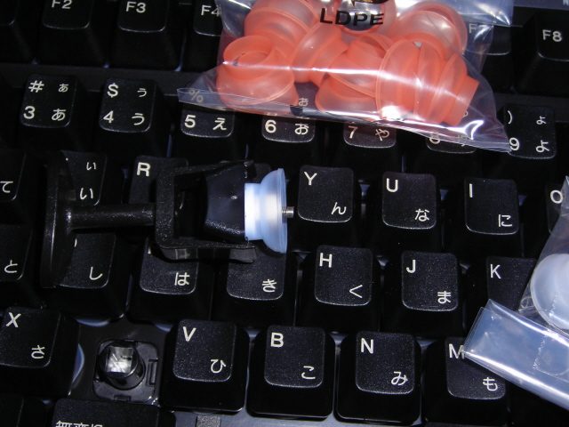 DSCN2151.JPG