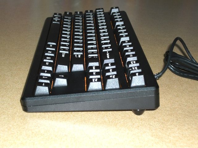 DSCF1195.jpg