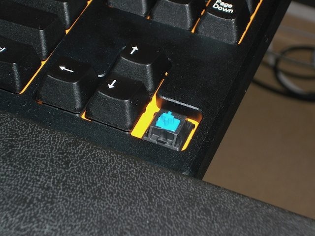 DSCF1205.jpg