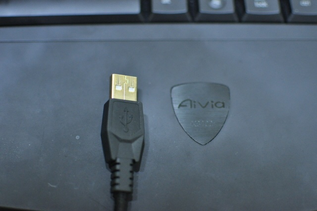 09 gold plate.jpg