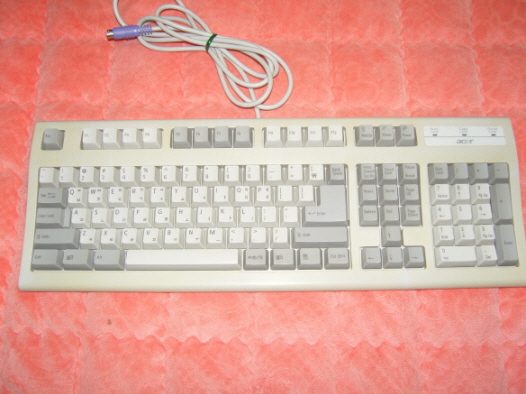 aceracerSNC11225.JPG