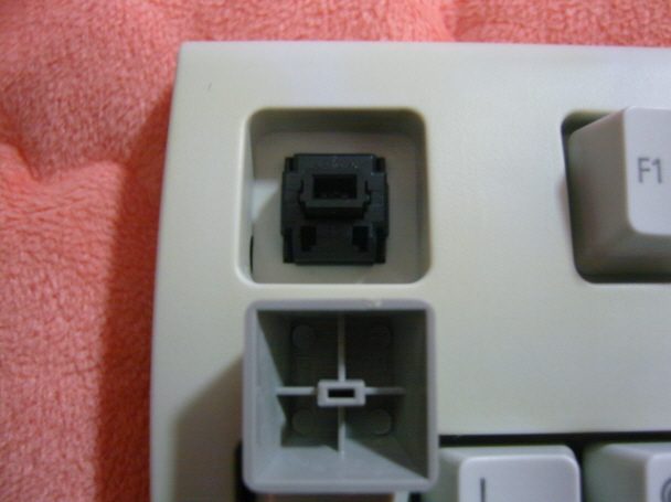 aceracerSNC11236.JPG