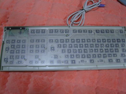 aceracerSNC11237.JPG