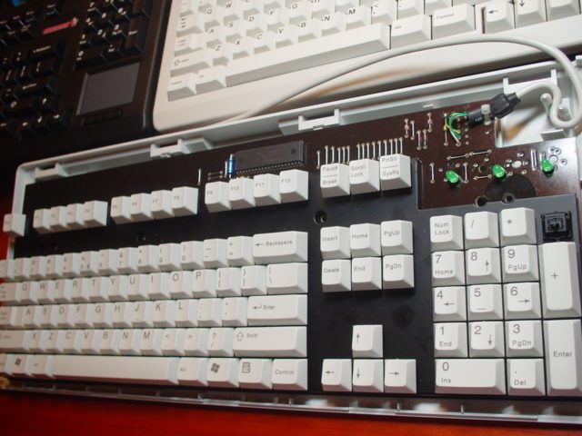 3000-2.jpg
