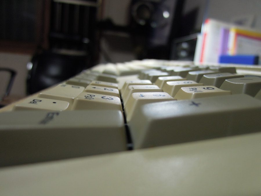 DSCN0390.JPG
