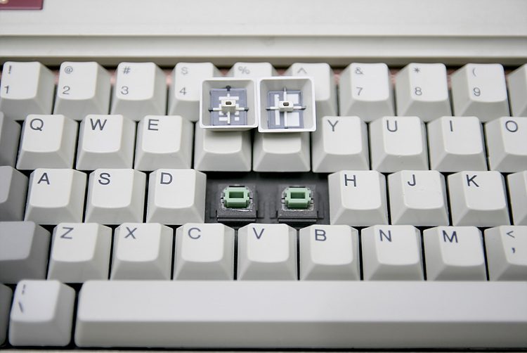 _resize_img_1855.jpg