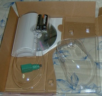Box_2.jpg