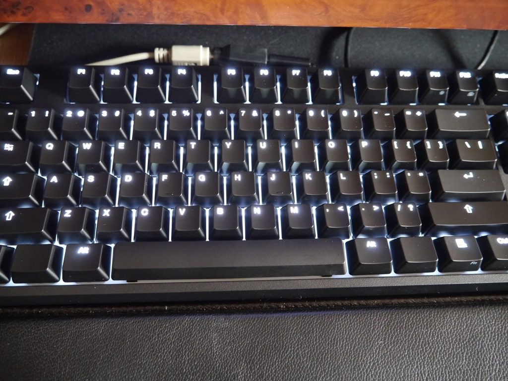 P1000954.JPG