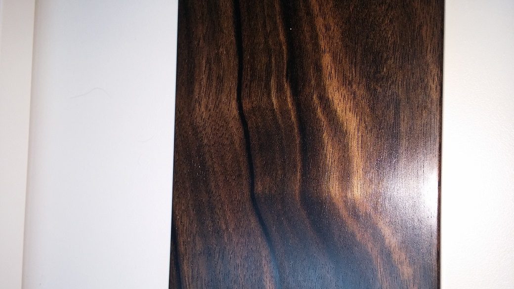 ebony_back_flash.jpg