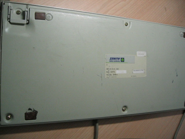 backside.jpg