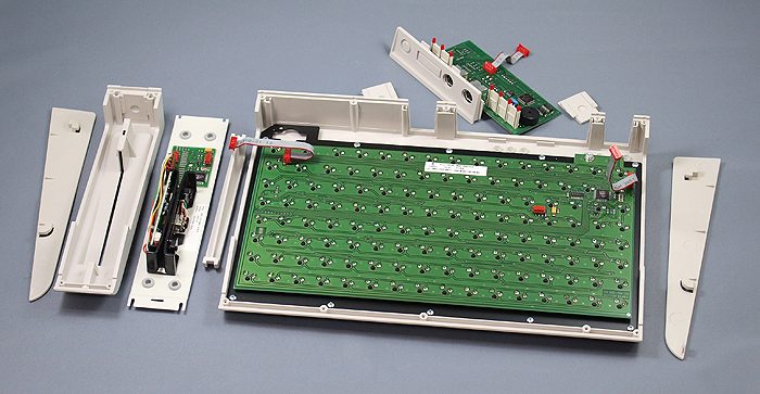 tipro128_07.JPG