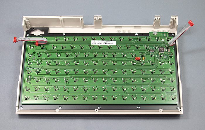 tipro128_08.JPG