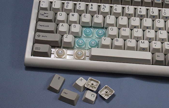 BTC5100_06.JPG