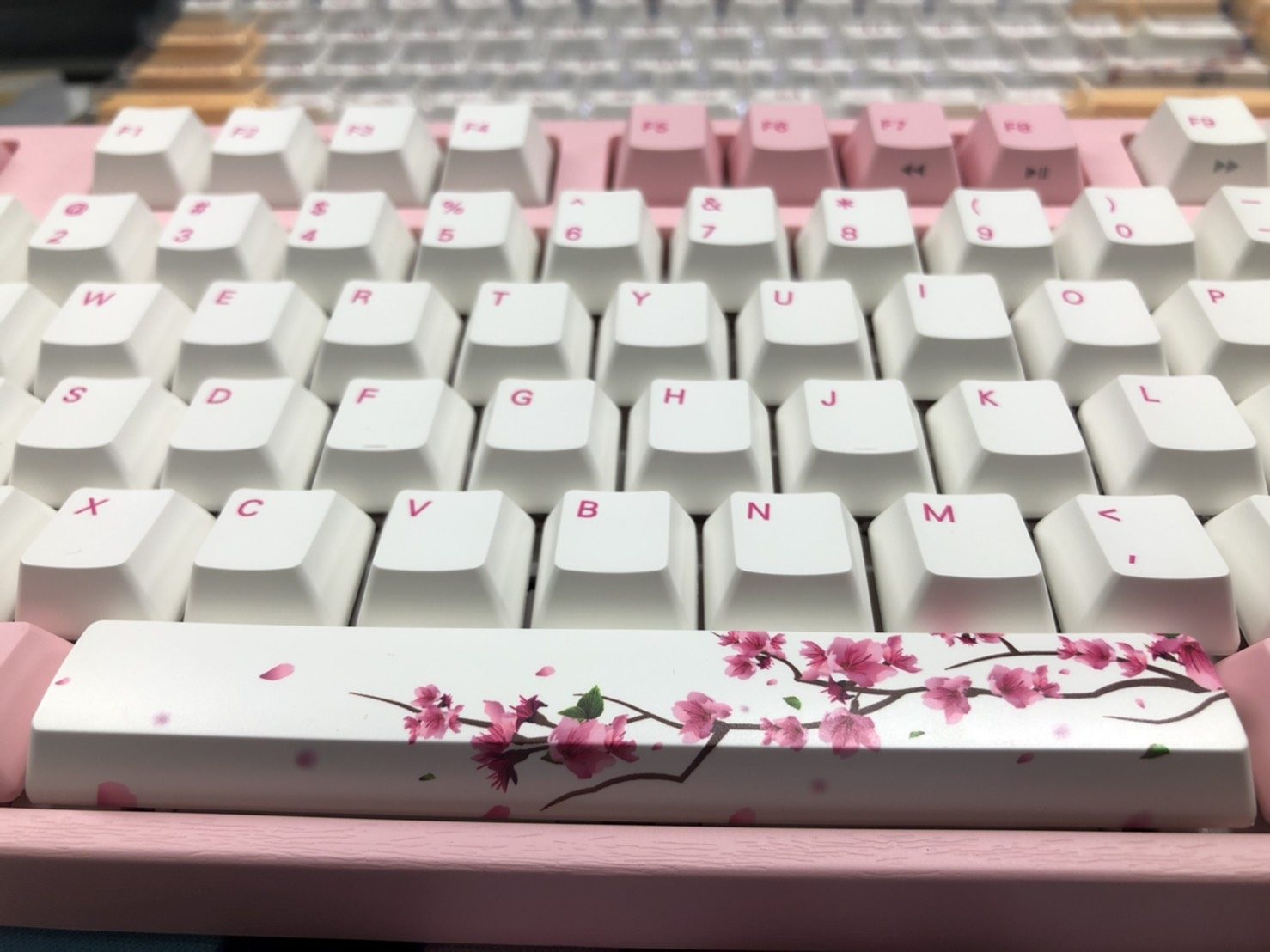 S__7921671.jpg