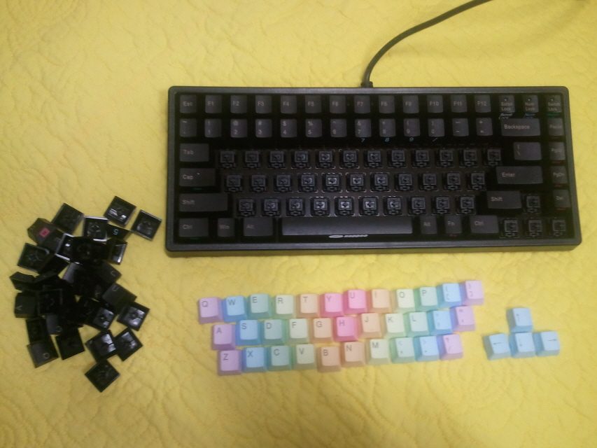 2011-05-12 20.40.43.jpg