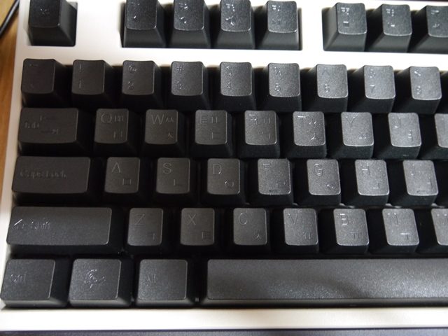 P1000807.JPG
