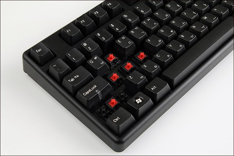 red33.jpg : [뉴스/이벤트] FC200R 적축 및 백축 키보드 출시 및 관련 이벤트