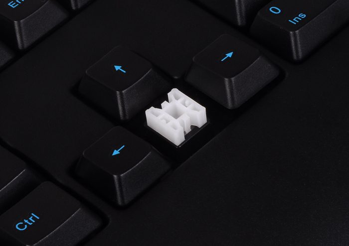 plunger sw_1-1.jpg
