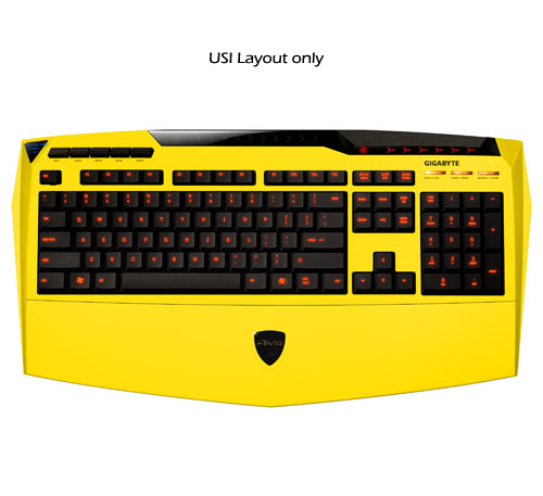 yellow.jpg