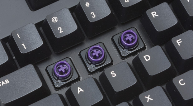 switches.jpg
