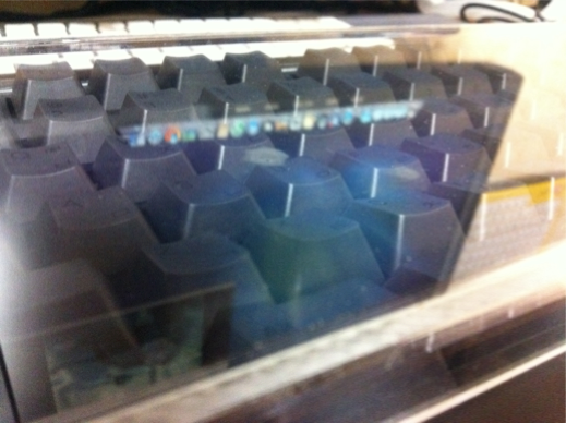 IMG_5954_1.png