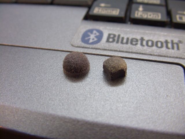 20091120 02 빨콩.JPG