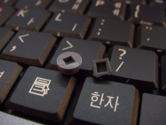 20091120 03.JPG