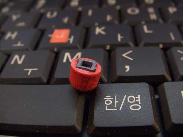20091120 04.JPG