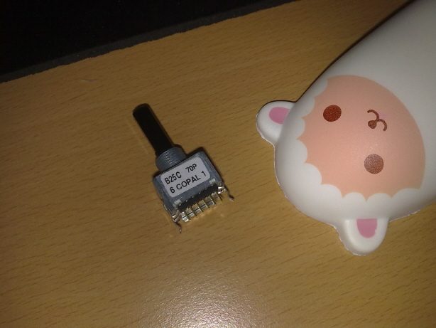 resize_20100124100.jpg